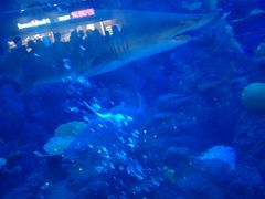 -成都浩海立方海洋公园