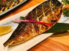 盐烤青花鱼-文三酒肆自助放题(新街口友谊广场店)
