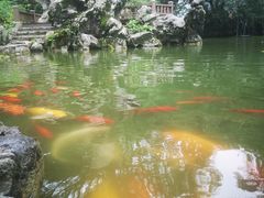 -善卷洞风景区