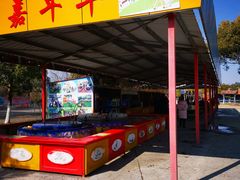 -上海海湾国家森林公园