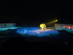 -鼎盛王朝康熙大典实景演出