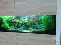 -九华体检中心(今晚报分店)
