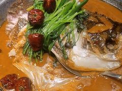 -来相会饺子·新辽菜(甘家口店)