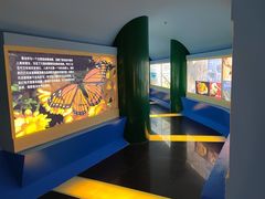 -上海昆虫博物馆