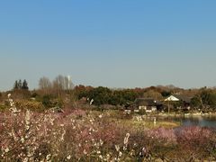 -上海海湾国家森林公园