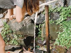 -阳台山自然风景区