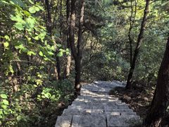 -遵化市禅林寺古银杏风景园