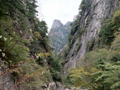 -青峰峡国家森林公园