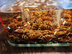 -雍容荟活龙虾自助餐(IFS黑金店)