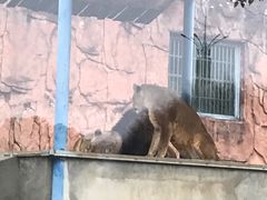 -无锡动物园·太湖欢乐园