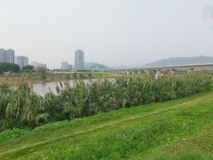 -光明小镇欢乐田园