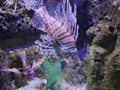 -太平洋海底世界博览馆·展览厅