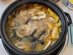 -蘑统田下·野生菌火锅