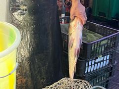 -鸿顺老铁锅美蛙鱼府(解放碑店)