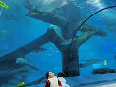 -福州罗源湾海洋世界旅游区