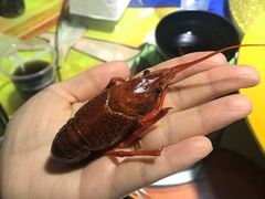 -眼镜哥浦江夜宵大本营