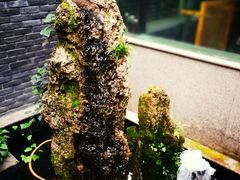 -毅祥斋老孙家泡馍(北院门鼓楼店)