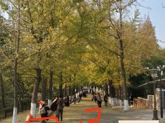 -八大关景区