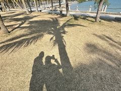 -霞山观海长廊