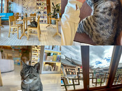 -猫的天空之城概念书店(丽江古城饮玉巷店)