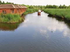 -白渔泡湿地公园