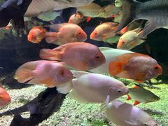 -太平洋海底世界