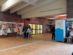 -香港大学