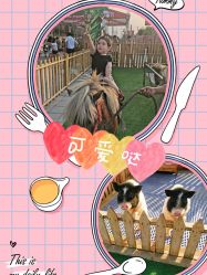 -萌宠亲子动物乐园(槐房万达店)