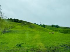 -新疆那拉提国家旅游度假区