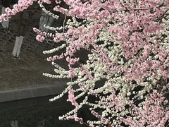 -北京丽景湾国际酒店