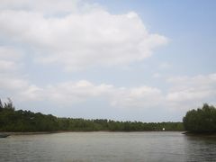 -东寨港红树林旅游区