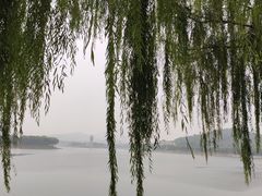 -济南国际园博园