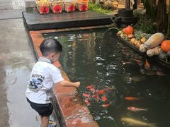-德云居