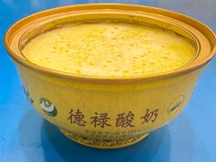 -德禄酸奶(莫家街店)