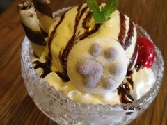 -十年猫舍·猫咪专门店(普陀店)