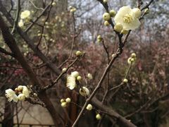 -木塔寺遗址生态公园