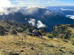 -二郎山