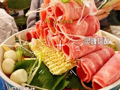 -猫头鹰炸鸡