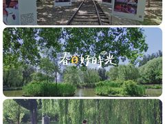 -将府公园