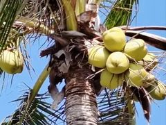 -亚龙湾中心广场