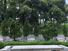 -菊花台公园