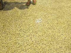 -天泉水都(子固路馆)