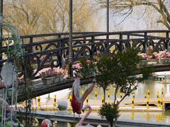 -J Create城市露营咖啡·简餐·宠物(上海动物园店)