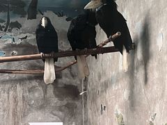 -石家庄市动物园