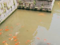 -金庸书院