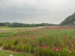 -秦文明广场