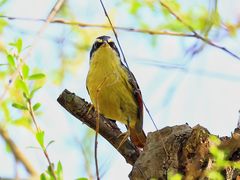 -白鹭湾湿地公园