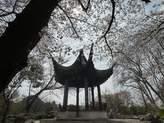 -梅花山(明孝陵内)