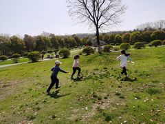 -南京市江宁方山