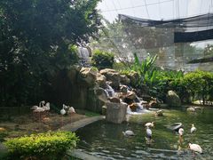 -吉隆坡雀鸟公园